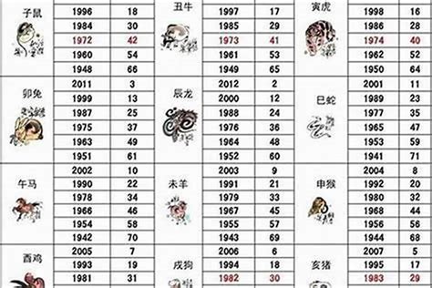 2003年属什么|2003年出生的属什么,2003年是什么生肖